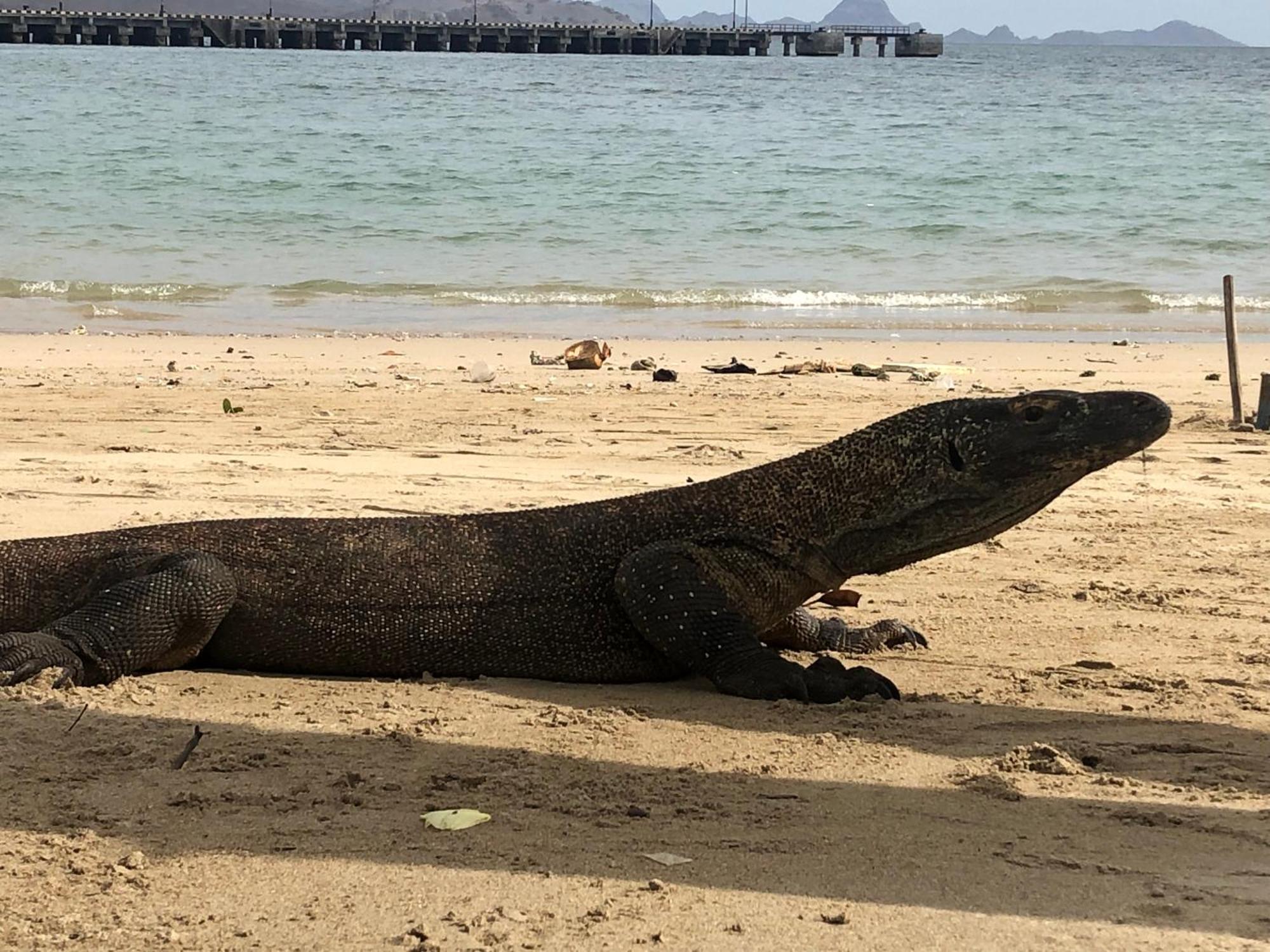 Dua Putri Komodo Homestay Luaran gambar
