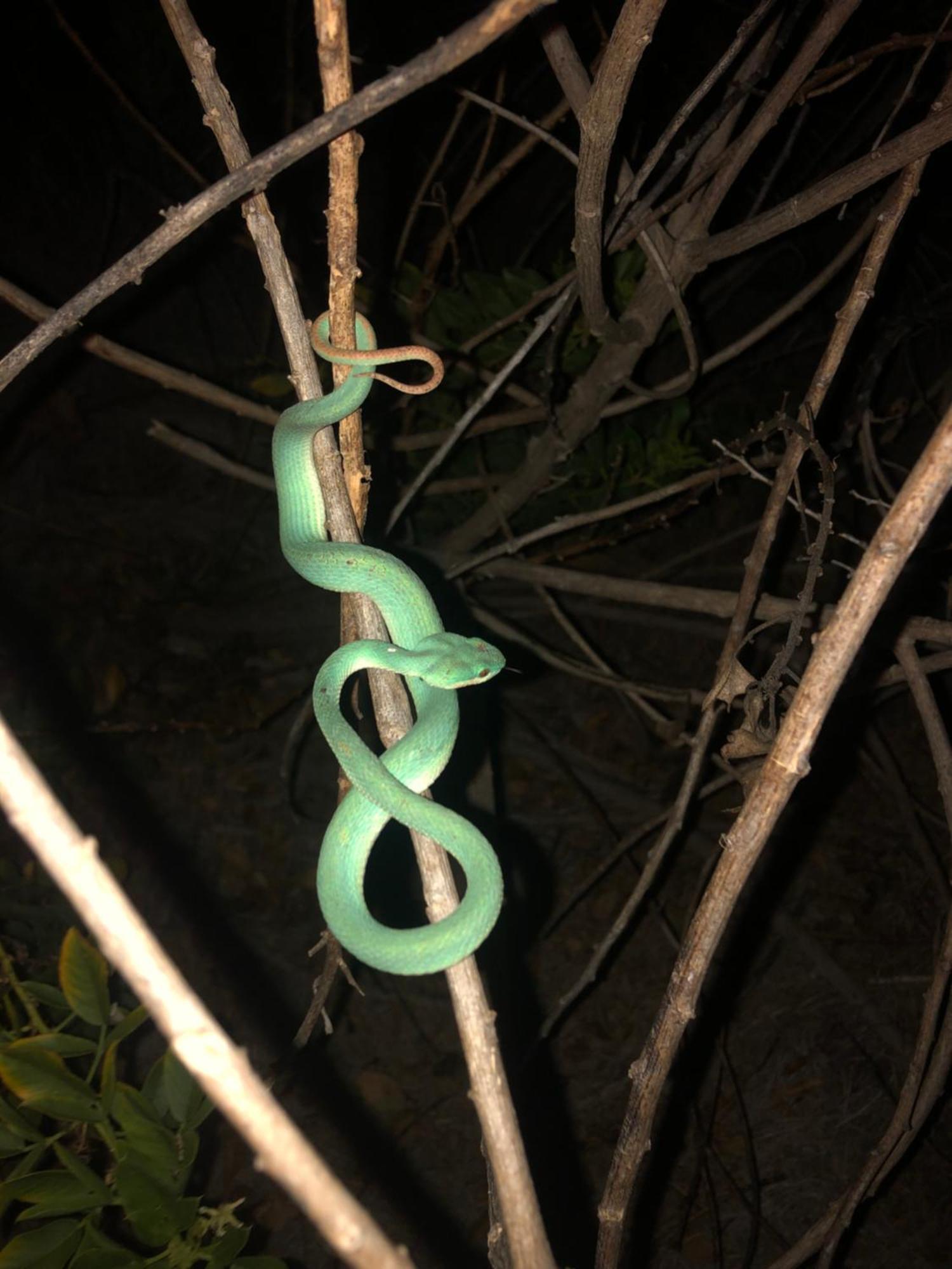 Dua Putri Komodo Homestay Luaran gambar
